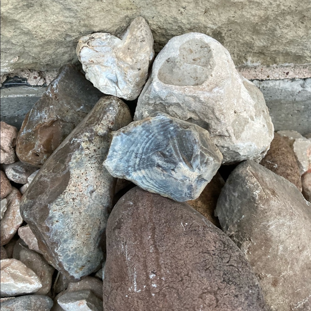 Meet your Posher, Los